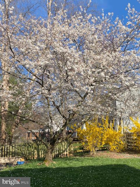 3559 PLUM DALE DR, FAIRFAX, Virginia 22033, 4 Bedrooms Bedrooms, ,2 BathroomsBathrooms,Residential,For sale,3559 PLUM DALE DR,VAFX2279850 MLS # VAFX2279850 3559 PLUM DALE DR, FAIRFAX, Virginia 22033, 4 Bedrooms Bedrooms, ,2 BathroomsBathrooms,Residential,For sale,3559 PLUM DALE DR,VAFX2279850 MLS # VAFX2279850