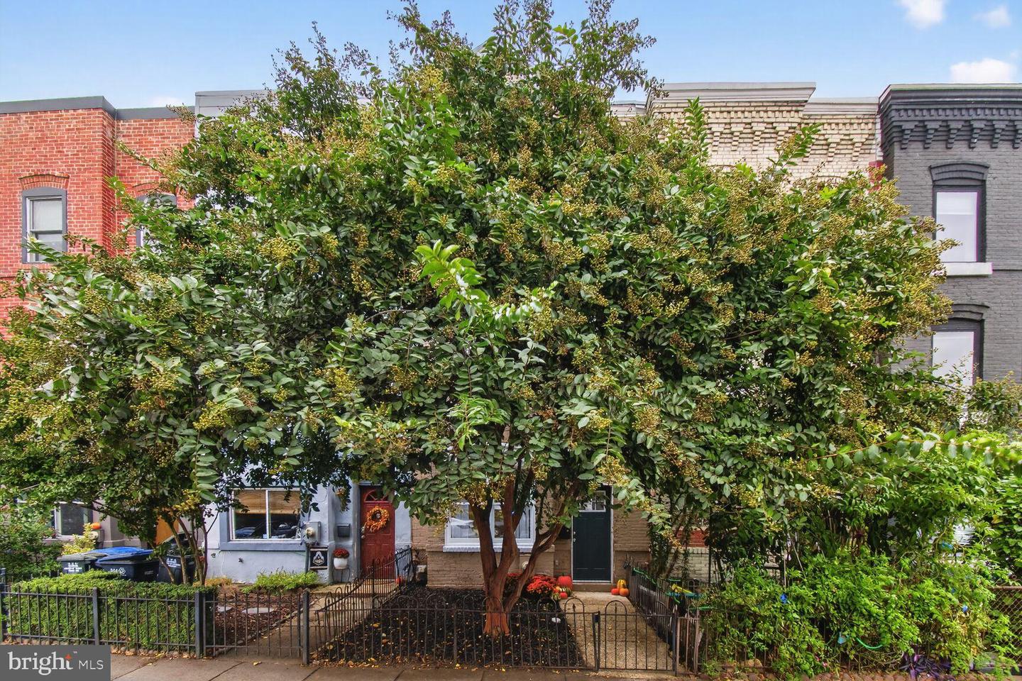 1027 6TH ST NE, WASHINGTON, District Of Columbia 20002, 4 Bedrooms Bedrooms, 6 Rooms Rooms,2 BathroomsBathrooms,Residential,For sale,1027 6TH ST NE,DCDC2232532 MLS # DCDC2232532 1027 6TH ST NE, WASHINGTON, District Of Columbia 20002, 4 Bedrooms Bedrooms, 6 Rooms Rooms,2 BathroomsBathrooms,Residential,For sale,1027 6TH ST NE,DCDC2232532 MLS # DCDC2232532