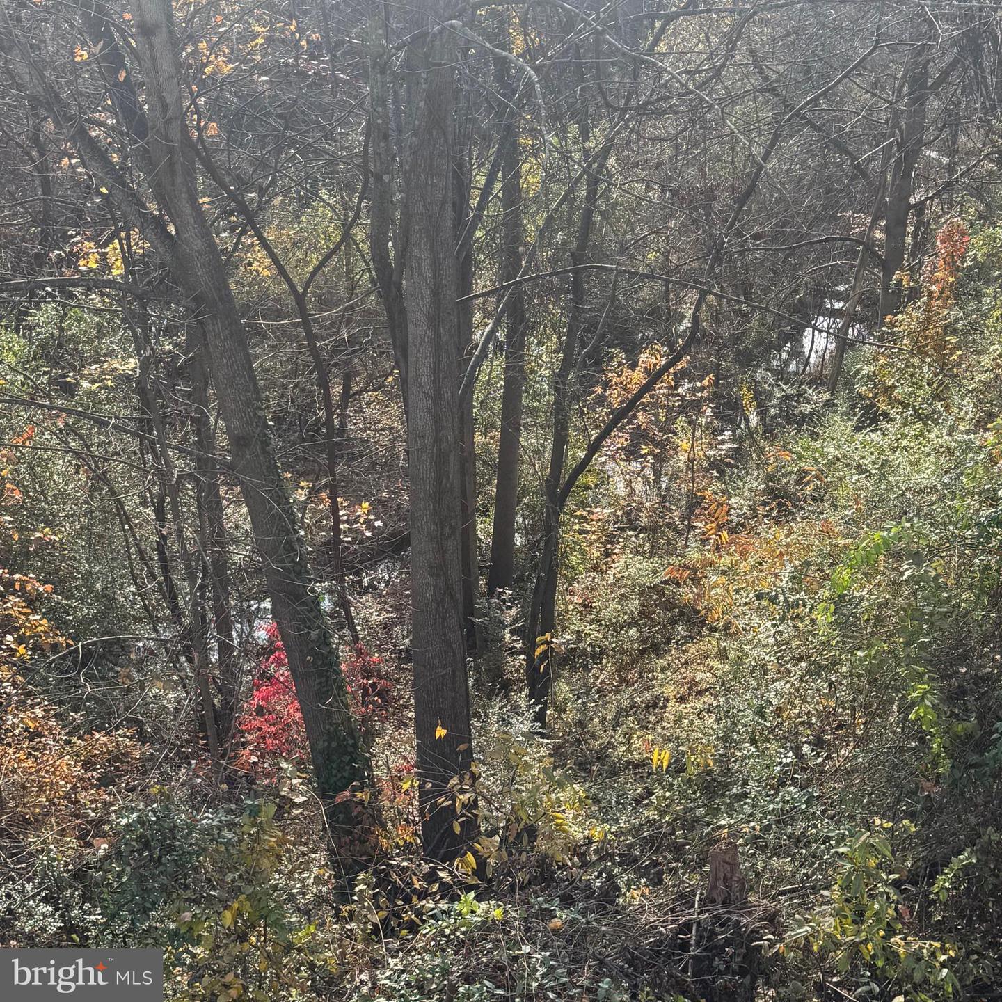 302 PINNACLE DR, STAFFORD, Virginia 22554, 3 Bedrooms Bedrooms, ,3 BathroomsBathrooms,Residential,For sale,302 PINNACLE DR,VAST2041456 MLS # VAST2041456 302 PINNACLE DR, STAFFORD, Virginia 22554, 3 Bedrooms Bedrooms, ,3 BathroomsBathrooms,Residential,For sale,302 PINNACLE DR,VAST2041456 MLS # VAST2041456