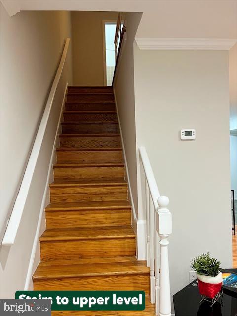 10123 FAIR WOODS DR, FAIRFAX, Virginia 22030, 3 Bedrooms Bedrooms, 8 Rooms Rooms,1 BathroomBathrooms,Residential,For sale,10123 FAIR WOODS DR,VAFC2007356 MLS # VAFC2007356 10123 FAIR WOODS DR, FAIRFAX, Virginia 22030, 3 Bedrooms Bedrooms, 8 Rooms Rooms,1 BathroomBathrooms,Residential,For sale,10123 FAIR WOODS DR,VAFC2007356 MLS # VAFC2007356