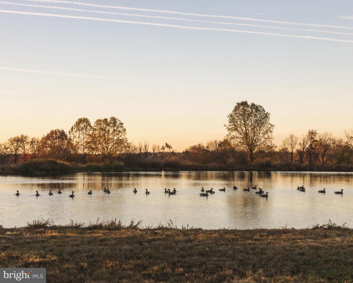 21846 TRAPPE RD, UPPERVILLE, Virginia 20184, 11 Bedrooms Bedrooms, ,9 BathroomsBathrooms,Residential,For sale,21846 TRAPPE RD,VALO2111024 MLS # VALO2111024 21846 TRAPPE RD, UPPERVILLE, Virginia 20184, 11 Bedrooms Bedrooms, ,9 BathroomsBathrooms,Residential,For sale,21846 TRAPPE RD,VALO2111024 MLS # VALO2111024