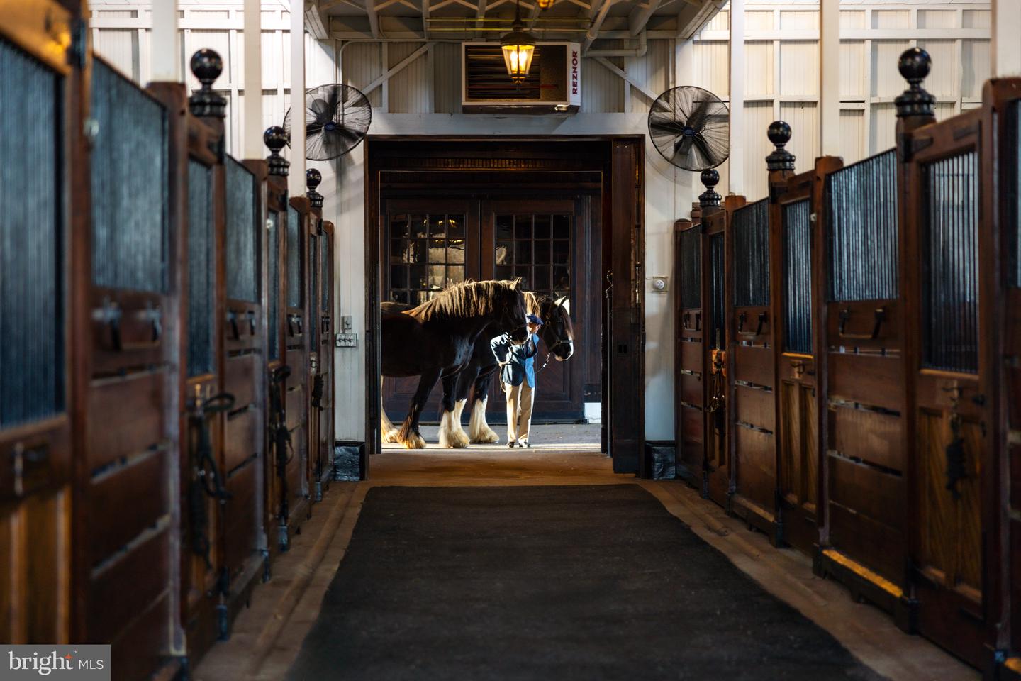 21846 TRAPPE RD, UPPERVILLE, Virginia 20184, 11 Bedrooms Bedrooms, ,9 BathroomsBathrooms,Residential,For sale,21846 TRAPPE RD,VALO2111024 MLS # VALO2111024 21846 TRAPPE RD, UPPERVILLE, Virginia 20184, 11 Bedrooms Bedrooms, ,9 BathroomsBathrooms,Residential,For sale,21846 TRAPPE RD,VALO2111024 MLS # VALO2111024