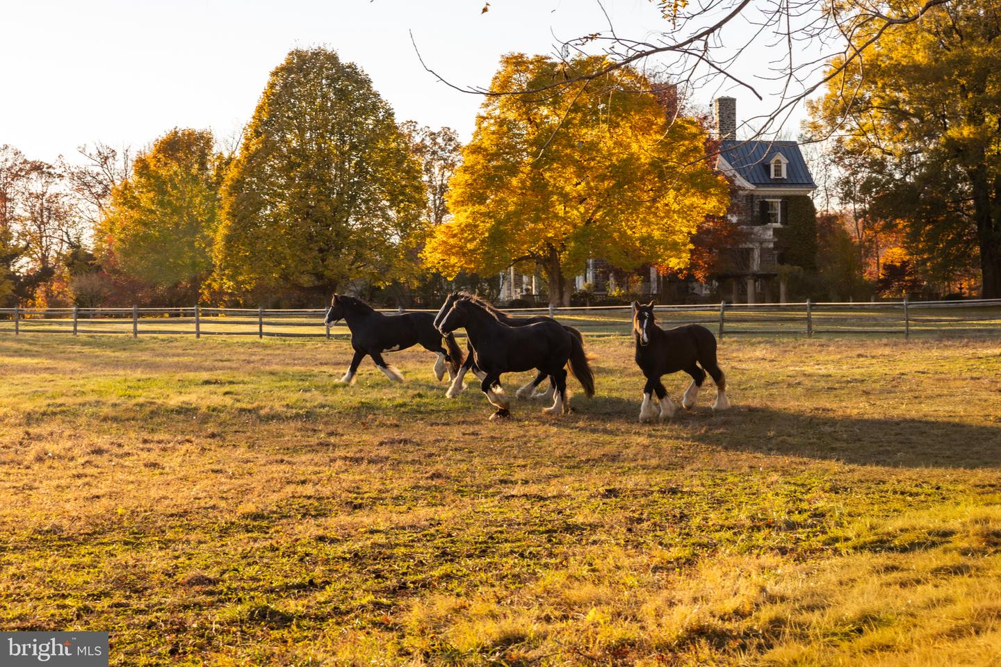 21846 TRAPPE RD, UPPERVILLE, Virginia 20184, 11 Bedrooms Bedrooms, ,9 BathroomsBathrooms,Residential,For sale,21846 TRAPPE RD,VALO2111024 MLS # VALO2111024 21846 TRAPPE RD, UPPERVILLE, Virginia 20184, 11 Bedrooms Bedrooms, ,9 BathroomsBathrooms,Residential,For sale,21846 TRAPPE RD,VALO2111024 MLS # VALO2111024