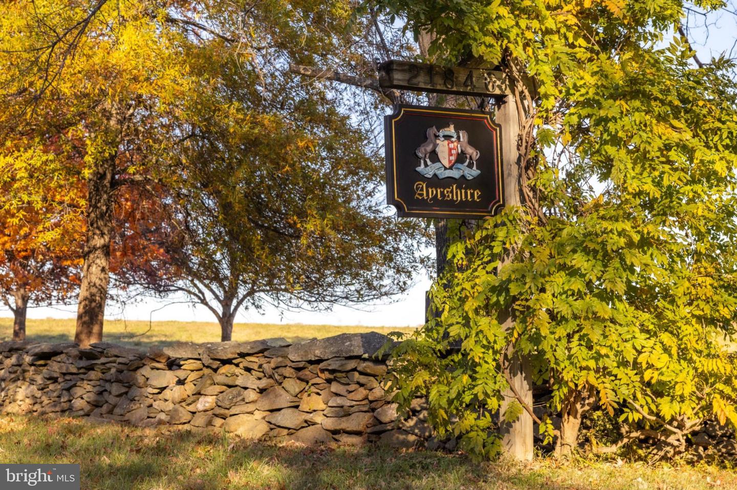 21846 TRAPPE RD, UPPERVILLE, Virginia 20184, 11 Bedrooms Bedrooms, ,9 BathroomsBathrooms,Residential,For sale,21846 TRAPPE RD,VALO2111024 MLS # VALO2111024 21846 TRAPPE RD, UPPERVILLE, Virginia 20184, 11 Bedrooms Bedrooms, ,9 BathroomsBathrooms,Residential,For sale,21846 TRAPPE RD,VALO2111024 MLS # VALO2111024