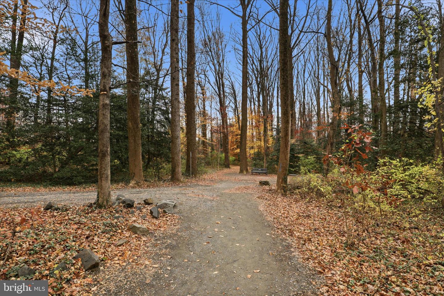 10721 WEST DR #302, FAIRFAX, Virginia 22030, 1 Bedroom Bedrooms, ,1 BathroomBathrooms,Residential,For sale,10721 WEST DR #302,VAFC2007500 MLS # VAFC2007500 10721 WEST DR #302, FAIRFAX, Virginia 22030, 1 Bedroom Bedrooms, ,1 BathroomBathrooms,Residential,For sale,10721 WEST DR #302,VAFC2007500 MLS # VAFC2007500