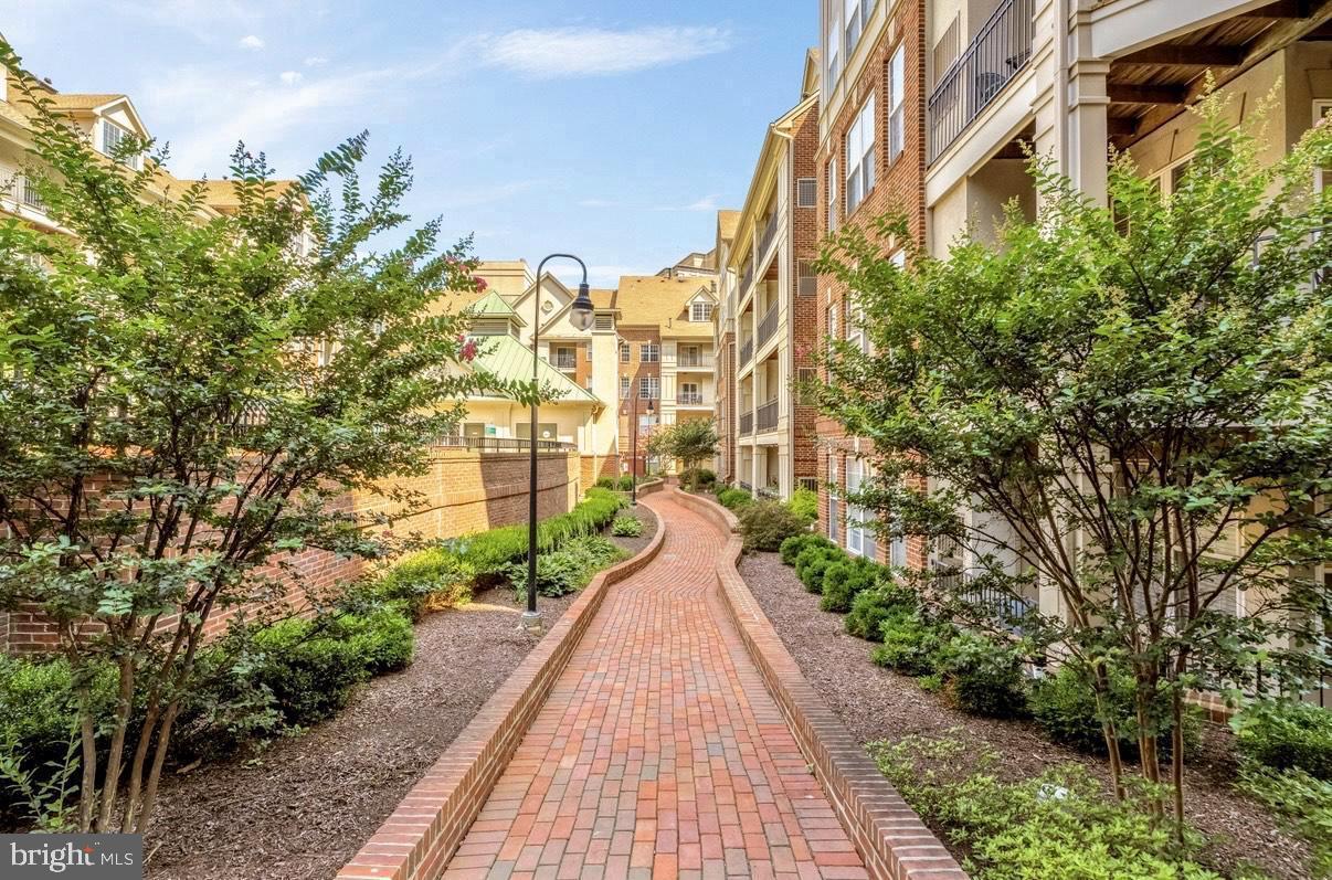 1320 N WAYNE ST #408, ARLINGTON, Virginia 22201, 3 Bedrooms Bedrooms, ,2 BathroomsBathrooms,Residential,For sale,1320 N WAYNE ST #408,VAAR2066102 MLS # VAAR2066102 1320 N WAYNE ST #408, ARLINGTON, Virginia 22201, 3 Bedrooms Bedrooms, ,2 BathroomsBathrooms,Residential,For sale,1320 N WAYNE ST #408,VAAR2066102 MLS # VAAR2066102