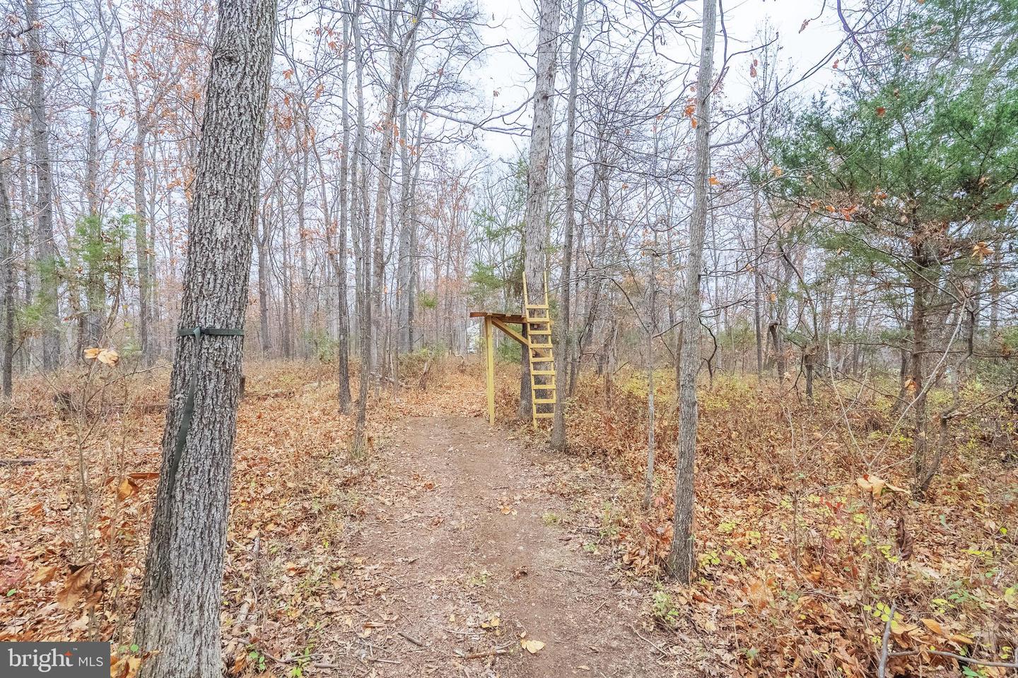 6245 SQUIRREL NEST LN, WARRENTON, Virginia 20187, 4 Bedrooms Bedrooms, ,5 BathroomsBathrooms,Residential,For sale,6245 SQUIRREL NEST LN,VAFQ2019692 MLS # VAFQ2019692 6245 SQUIRREL NEST LN, WARRENTON, Virginia 20187, 4 Bedrooms Bedrooms, ,5 BathroomsBathrooms,Residential,For sale,6245 SQUIRREL NEST LN,VAFQ2019692 MLS # VAFQ2019692