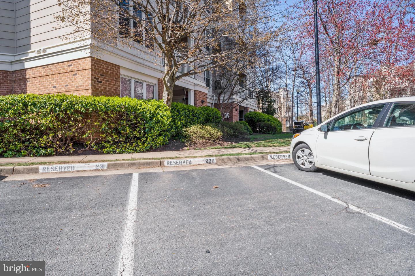 2204 WESTCOURT LN #113, HERNDON, Virginia 20170, 1 Bedroom Bedrooms, ,1 BathroomBathrooms,Residential,For sale,2204 WESTCOURT LN #113,VAFX2279872 MLS # VAFX2279872 2204 WESTCOURT LN #113, HERNDON, Virginia 20170, 1 Bedroom Bedrooms, ,1 BathroomBathrooms,Residential,For sale,2204 WESTCOURT LN #113,VAFX2279872 MLS # VAFX2279872