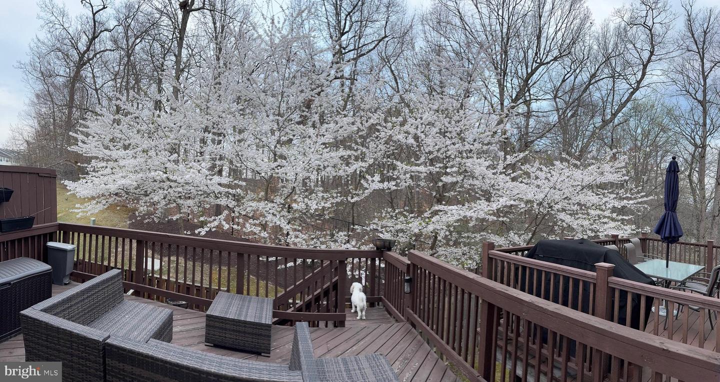 119 ARLA CT, STAFFORD, Virginia 22554, 3 Bedrooms Bedrooms, ,3 BathroomsBathrooms,Residential,For sale,119 ARLA CT,VAST2044354 MLS # VAST2044354 119 ARLA CT, STAFFORD, Virginia 22554, 3 Bedrooms Bedrooms, ,3 BathroomsBathrooms,Residential,For sale,119 ARLA CT,VAST2044354 MLS # VAST2044354