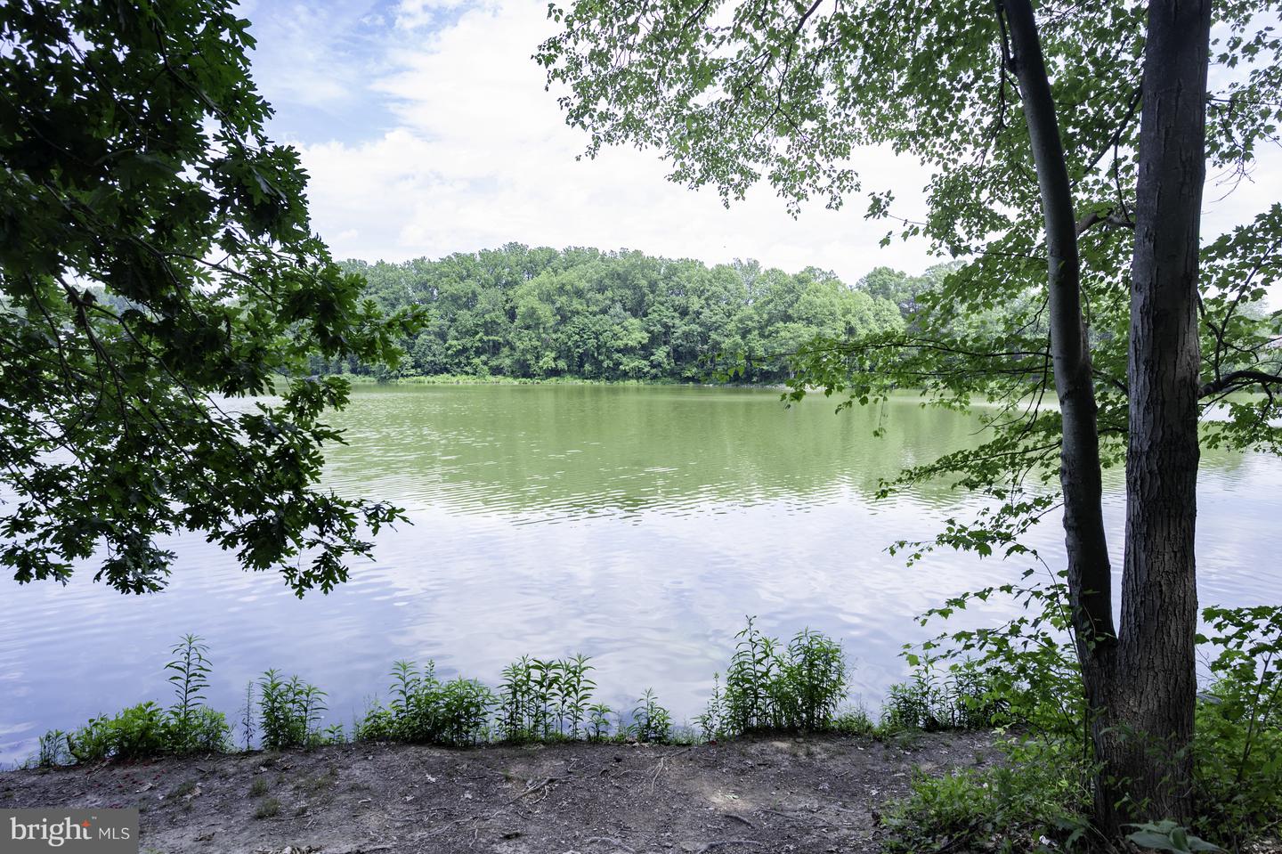 5602 SUMMER OAK WAY, BURKE, Virginia 22015, 2 Bedrooms Bedrooms, 9 Rooms Rooms,1 BathroomBathrooms,Residential,For sale,5602 SUMMER OAK WAY,VAFX2279984 MLS # VAFX2279984 5602 SUMMER OAK WAY, BURKE, Virginia 22015, 2 Bedrooms Bedrooms, 9 Rooms Rooms,1 BathroomBathrooms,Residential,For sale,5602 SUMMER OAK WAY,VAFX2279984 MLS # VAFX2279984