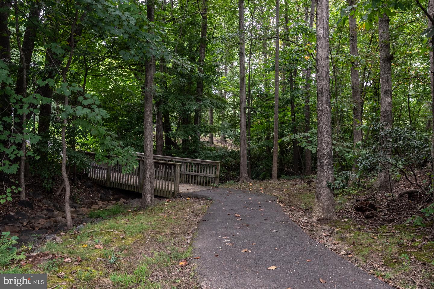 5602 SUMMER OAK WAY, BURKE, Virginia 22015, 2 Bedrooms Bedrooms, 9 Rooms Rooms,1 BathroomBathrooms,Residential,For sale,5602 SUMMER OAK WAY,VAFX2279984 MLS # VAFX2279984 5602 SUMMER OAK WAY, BURKE, Virginia 22015, 2 Bedrooms Bedrooms, 9 Rooms Rooms,1 BathroomBathrooms,Residential,For sale,5602 SUMMER OAK WAY,VAFX2279984 MLS # VAFX2279984