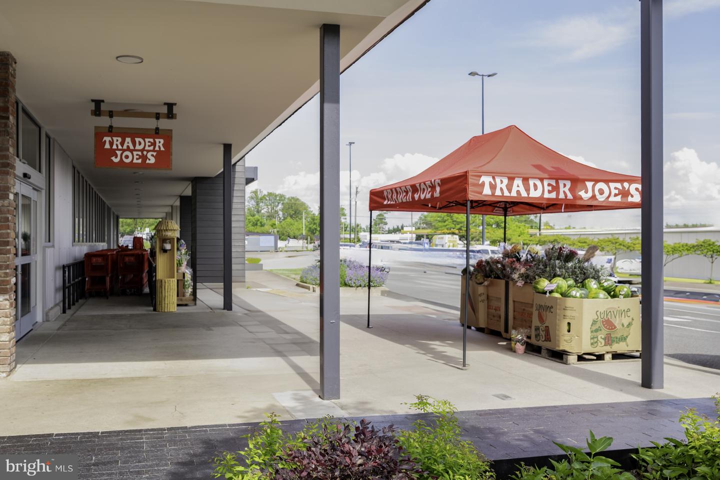 5602 SUMMER OAK WAY, BURKE, Virginia 22015, 2 Bedrooms Bedrooms, 9 Rooms Rooms,1 BathroomBathrooms,Residential,For sale,5602 SUMMER OAK WAY,VAFX2279984 MLS # VAFX2279984 5602 SUMMER OAK WAY, BURKE, Virginia 22015, 2 Bedrooms Bedrooms, 9 Rooms Rooms,1 BathroomBathrooms,Residential,For sale,5602 SUMMER OAK WAY,VAFX2279984 MLS # VAFX2279984