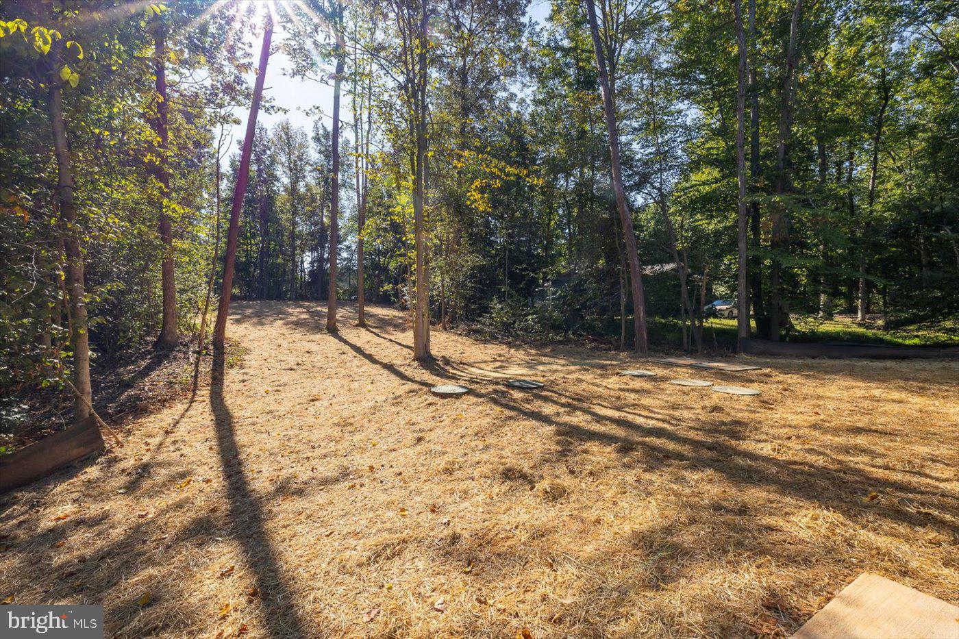 80 ALBERTSON CT, RUTHER GLEN, Virginia 22546, 4 Bedrooms Bedrooms, 13 Rooms Rooms,3 BathroomsBathrooms,Residential,For sale,80 ALBERTSON CT,VACV2009148 MLS # VACV2009148 80 ALBERTSON CT, RUTHER GLEN, Virginia 22546, 4 Bedrooms Bedrooms, 13 Rooms Rooms,3 BathroomsBathrooms,Residential,For sale,80 ALBERTSON CT,VACV2009148 MLS # VACV2009148