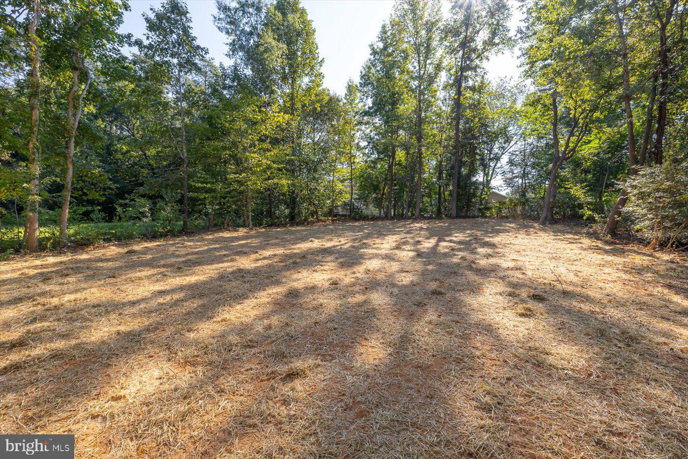 80 ALBERTSON CT, RUTHER GLEN, Virginia 22546, 4 Bedrooms Bedrooms, 13 Rooms Rooms,3 BathroomsBathrooms,Residential,For sale,80 ALBERTSON CT,VACV2009148 MLS # VACV2009148 80 ALBERTSON CT, RUTHER GLEN, Virginia 22546, 4 Bedrooms Bedrooms, 13 Rooms Rooms,3 BathroomsBathrooms,Residential,For sale,80 ALBERTSON CT,VACV2009148 MLS # VACV2009148