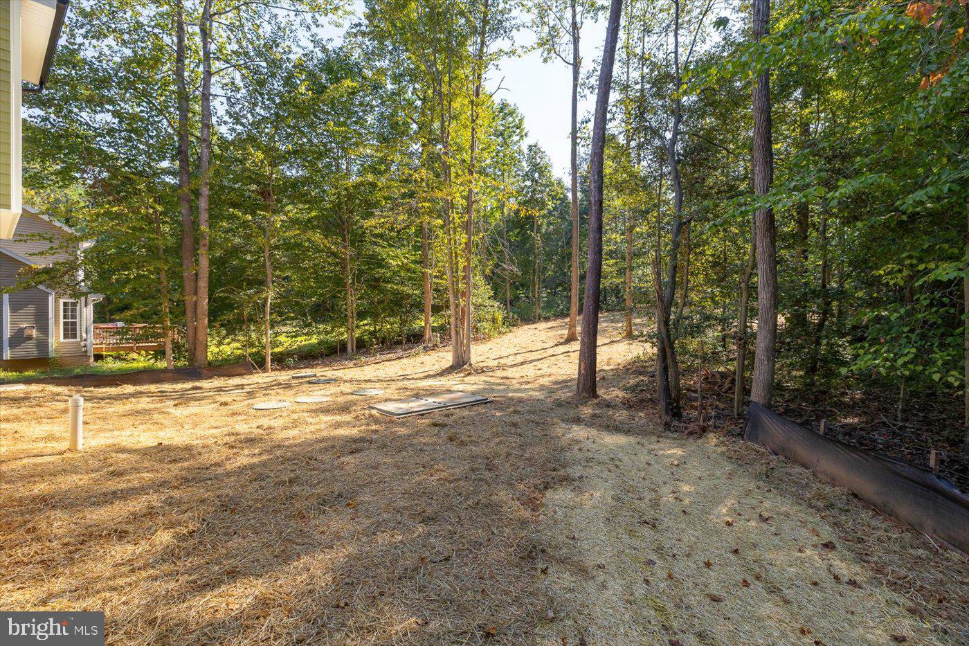 80 ALBERTSON CT, RUTHER GLEN, Virginia 22546, 4 Bedrooms Bedrooms, 13 Rooms Rooms,3 BathroomsBathrooms,Residential,For sale,80 ALBERTSON CT,VACV2009148 MLS # VACV2009148 80 ALBERTSON CT, RUTHER GLEN, Virginia 22546, 4 Bedrooms Bedrooms, 13 Rooms Rooms,3 BathroomsBathrooms,Residential,For sale,80 ALBERTSON CT,VACV2009148 MLS # VACV2009148