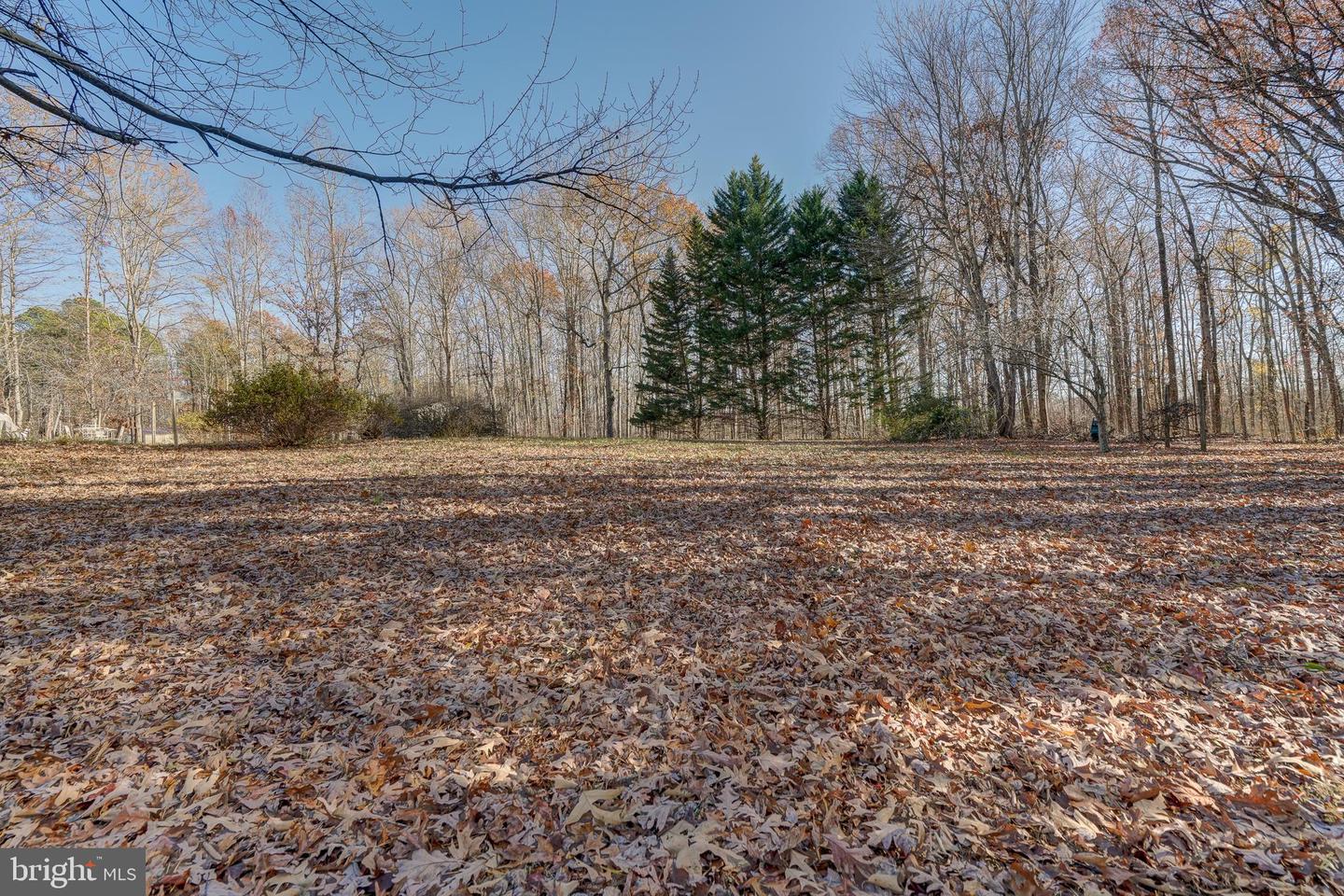 209 WALNUT WOODS DR, LOUISA, Virginia 23093, 4 Bedrooms Bedrooms, 12 Rooms Rooms,3 BathroomsBathrooms,Residential,For sale,209 WALNUT WOODS DR,VALA2008934 MLS # VALA2008934