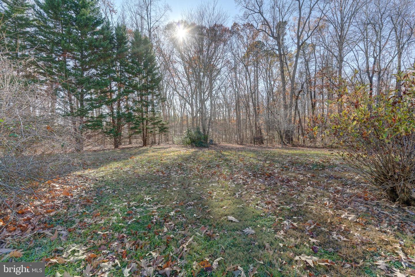 209 WALNUT WOODS DR, LOUISA, Virginia 23093, 4 Bedrooms Bedrooms, 12 Rooms Rooms,3 BathroomsBathrooms,Residential,For sale,209 WALNUT WOODS DR,VALA2008934 MLS # VALA2008934