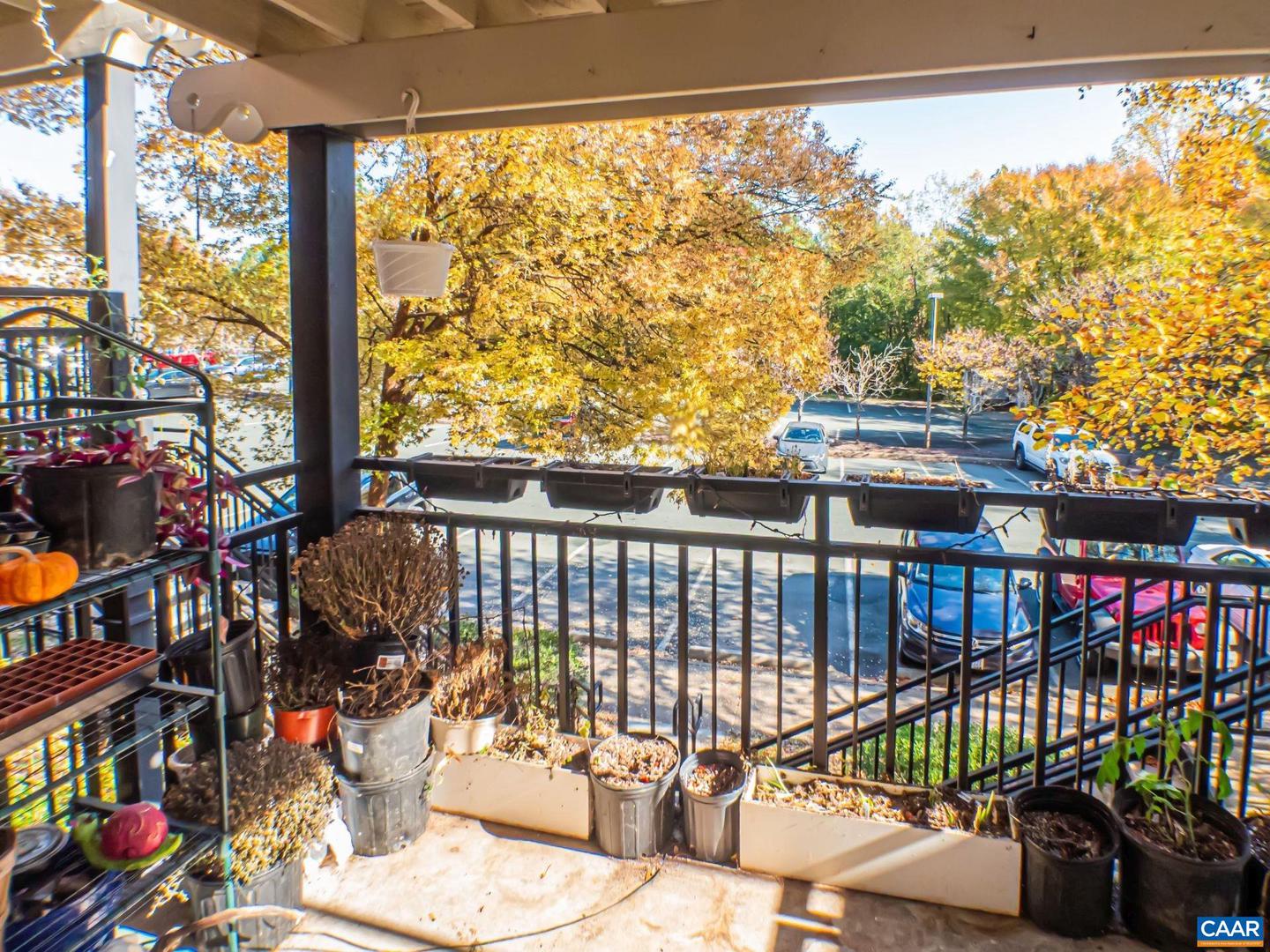 1615 ELMWOOD CT #202, CHARLOTTESVILLE, Virginia 22903, 3 Bedrooms Bedrooms, ,3 BathroomsBathrooms,Residential,For sale,1615 ELMWOOD CT #202,671334 MLS # 671334