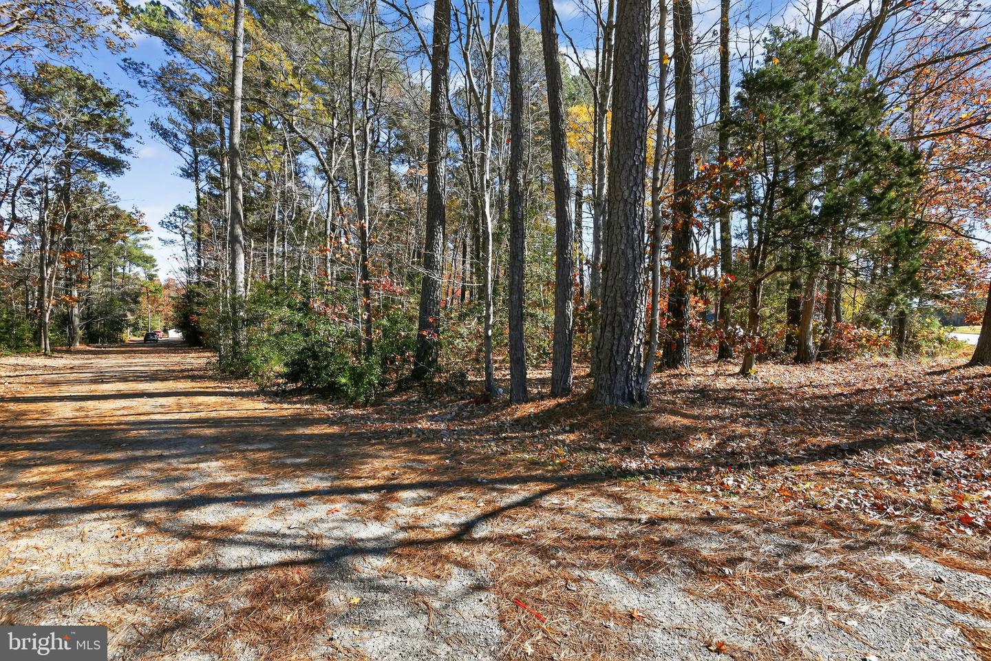 9855 GEORGE WASHINGTON MEMORIAL HWY, GLOUCESTER, Virginia 23061, 4 Bedrooms Bedrooms, ,2 BathroomsBathrooms,Residential,For sale,9855 GEORGE WASHINGTON MEMORIAL HWY,VAGV2000176 MLS # VAGV2000176 9855 GEORGE WASHINGTON MEMORIAL HWY, GLOUCESTER, Virginia 23061, 4 Bedrooms Bedrooms, ,2 BathroomsBathrooms,Residential,For sale,9855 GEORGE WASHINGTON MEMORIAL HWY,VAGV2000176 MLS # VAGV2000176