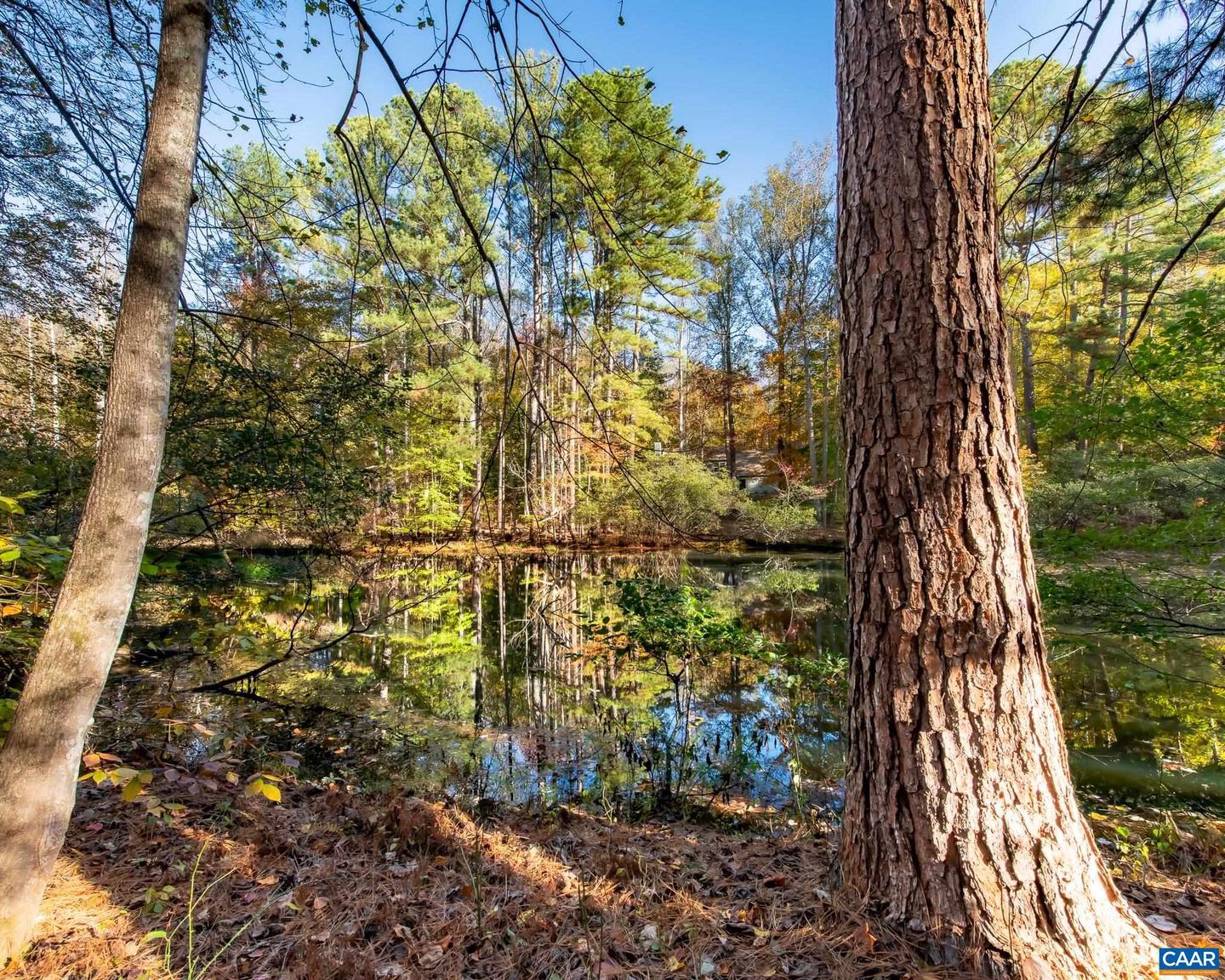 1190 TRILLIUM RD, EARLYSVILLE, Virginia 22936, 3 Bedrooms Bedrooms, ,2 BathroomsBathrooms,Residential,For sale,1190 TRILLIUM RD,671321 MLS # 671321