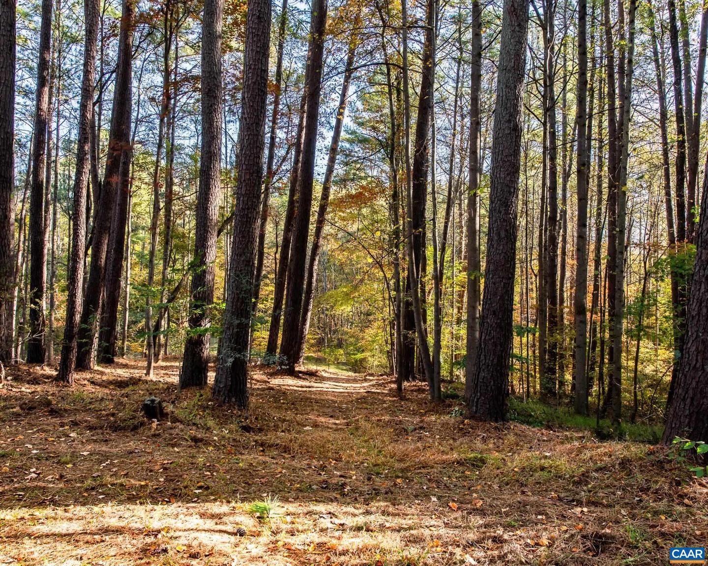 1190 TRILLIUM RD, EARLYSVILLE, Virginia 22936, 3 Bedrooms Bedrooms, ,2 BathroomsBathrooms,Residential,For sale,1190 TRILLIUM RD,671321 MLS # 671321