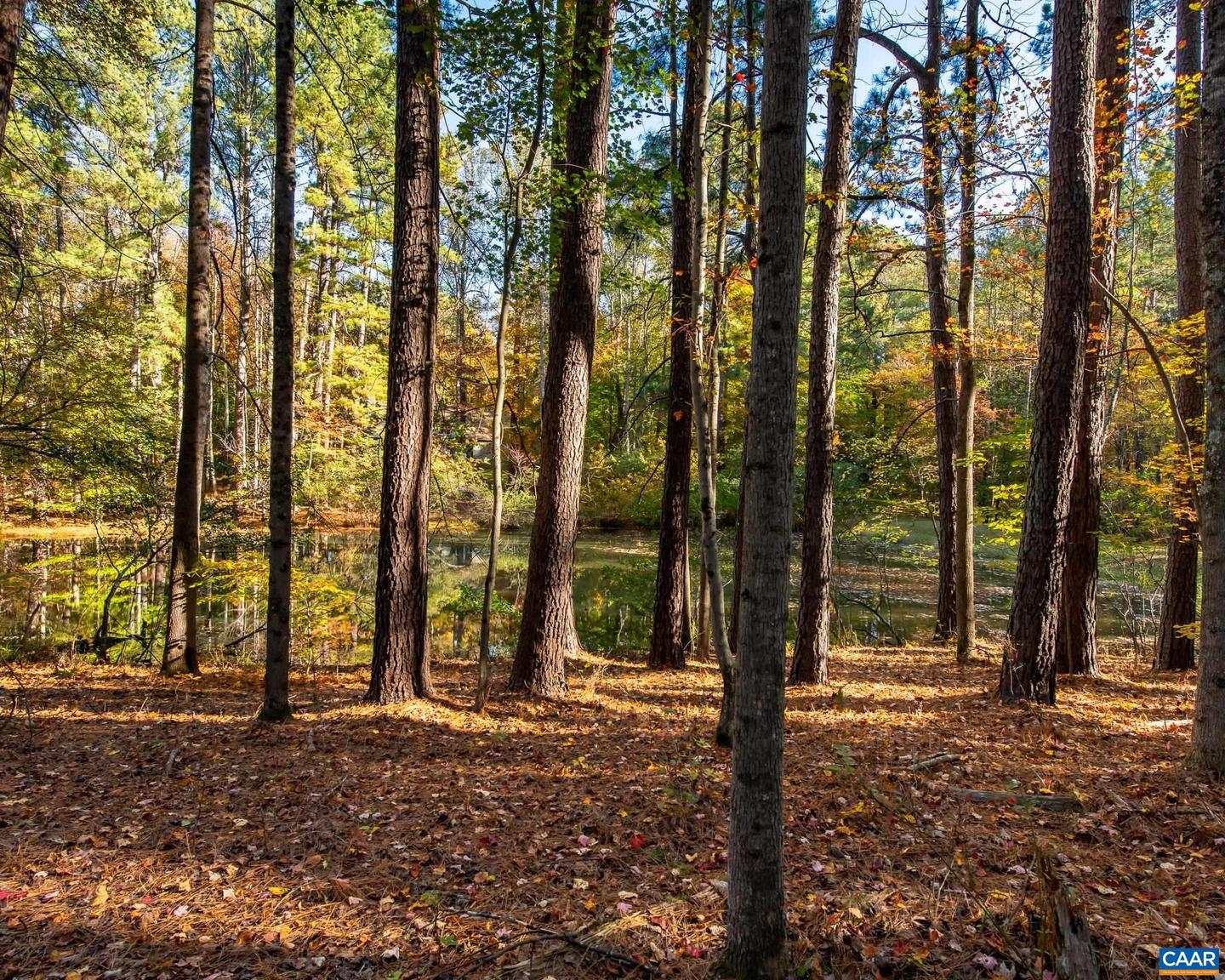 1190 TRILLIUM RD, EARLYSVILLE, Virginia 22936, 3 Bedrooms Bedrooms, ,2 BathroomsBathrooms,Residential,For sale,1190 TRILLIUM RD,671321 MLS # 671321