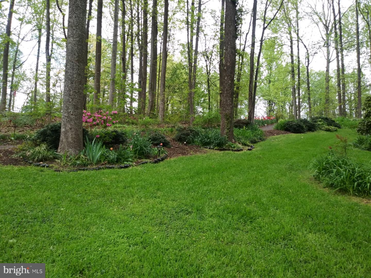 17086 GLENMORE CT, CULPEPER, Virginia 22701, 3 Bedrooms Bedrooms, ,2 BathroomsBathrooms,Residential,For sale,17086 GLENMORE CT,VACU2012136 MLS # VACU2012136