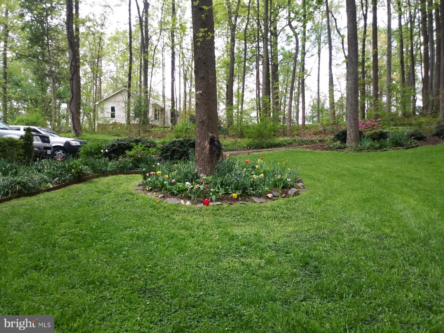 17086 GLENMORE CT, CULPEPER, Virginia 22701, 3 Bedrooms Bedrooms, ,2 BathroomsBathrooms,Residential,For sale,17086 GLENMORE CT,VACU2012136 MLS # VACU2012136