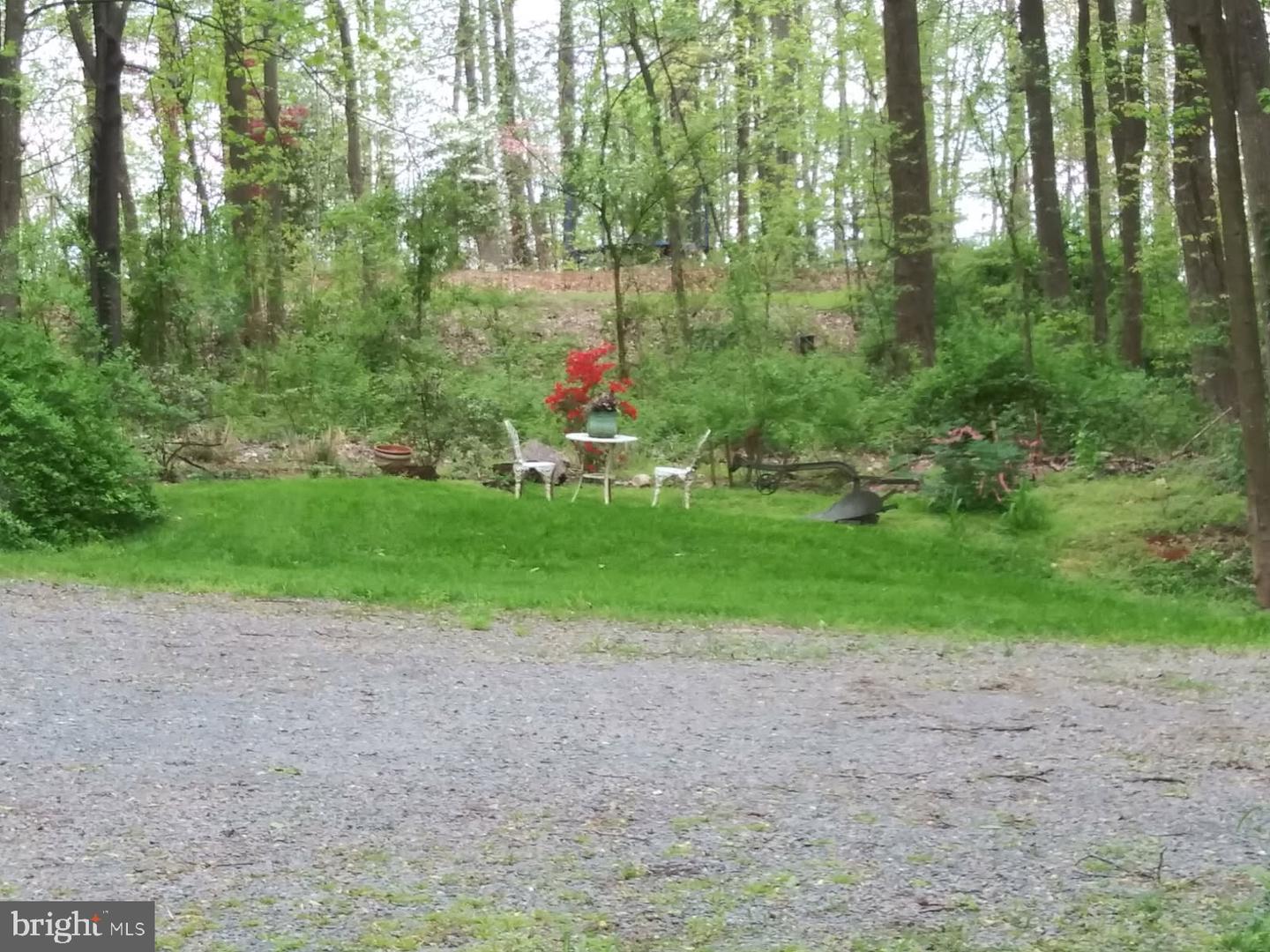 17086 GLENMORE CT, CULPEPER, Virginia 22701, 3 Bedrooms Bedrooms, ,2 BathroomsBathrooms,Residential,For sale,17086 GLENMORE CT,VACU2012136 MLS # VACU2012136