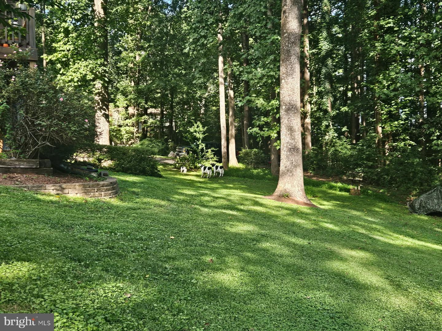 17086 GLENMORE CT, CULPEPER, Virginia 22701, 3 Bedrooms Bedrooms, ,2 BathroomsBathrooms,Residential,For sale,17086 GLENMORE CT,VACU2012136 MLS # VACU2012136