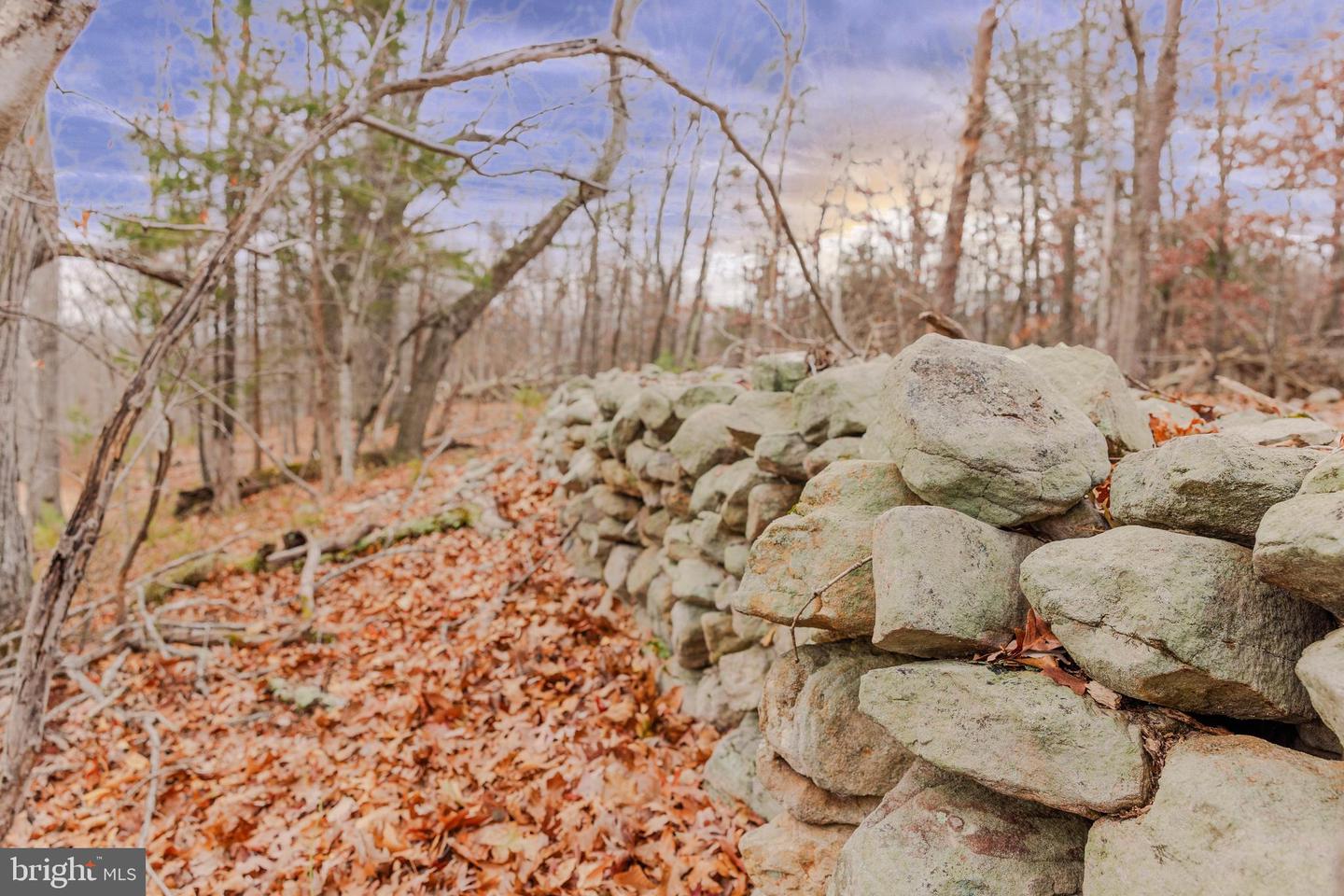 LOT 2 GALLOWAY SPRING LN, STANLEY, Virginia 22851, ,Land,For sale,LOT 2 GALLOWAY SPRING LN,VAPA2005608 MLS # VAPA2005608 LOT 2 GALLOWAY SPRING LN, STANLEY, Virginia 22851, ,Land,For sale,LOT 2 GALLOWAY SPRING LN,VAPA2005608 MLS # VAPA2005608