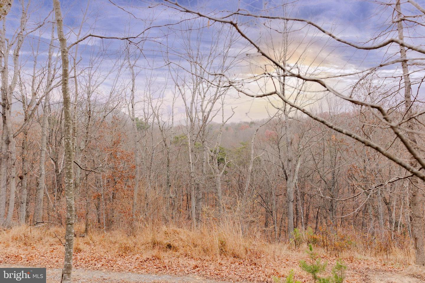 LOT 2 GALLOWAY SPRING LN, STANLEY, Virginia 22851, ,Land,For sale,LOT 2 GALLOWAY SPRING LN,VAPA2005608 MLS # VAPA2005608 LOT 2 GALLOWAY SPRING LN, STANLEY, Virginia 22851, ,Land,For sale,LOT 2 GALLOWAY SPRING LN,VAPA2005608 MLS # VAPA2005608