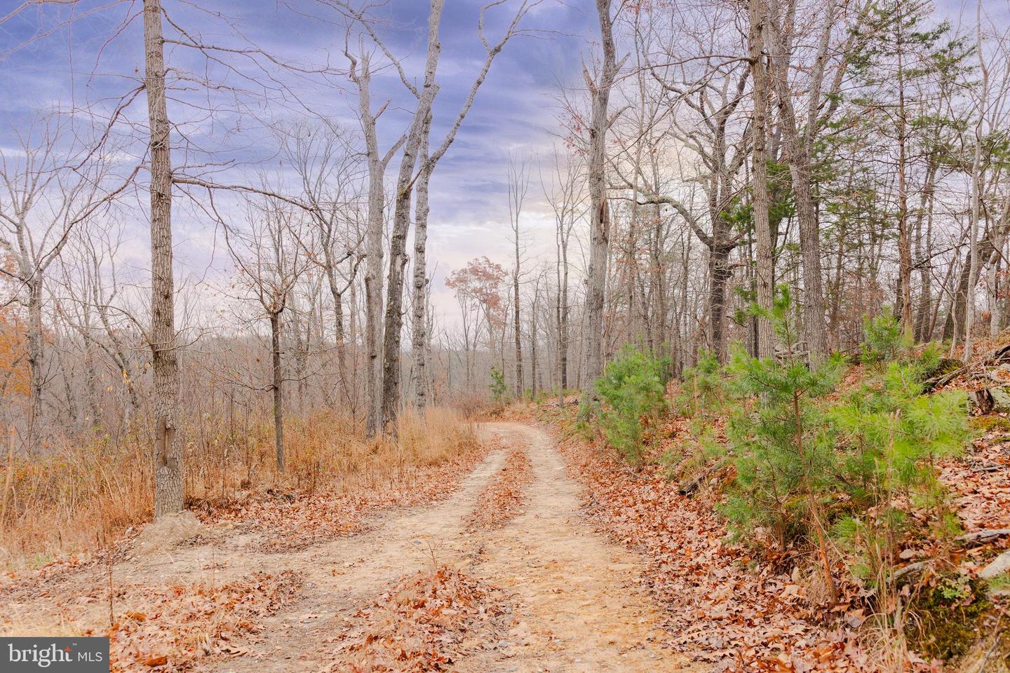 LOT 2 GALLOWAY SPRING LN, STANLEY, Virginia 22851, ,Land,For sale,LOT 2 GALLOWAY SPRING LN,VAPA2005608 MLS # VAPA2005608 LOT 2 GALLOWAY SPRING LN, STANLEY, Virginia 22851, ,Land,For sale,LOT 2 GALLOWAY SPRING LN,VAPA2005608 MLS # VAPA2005608