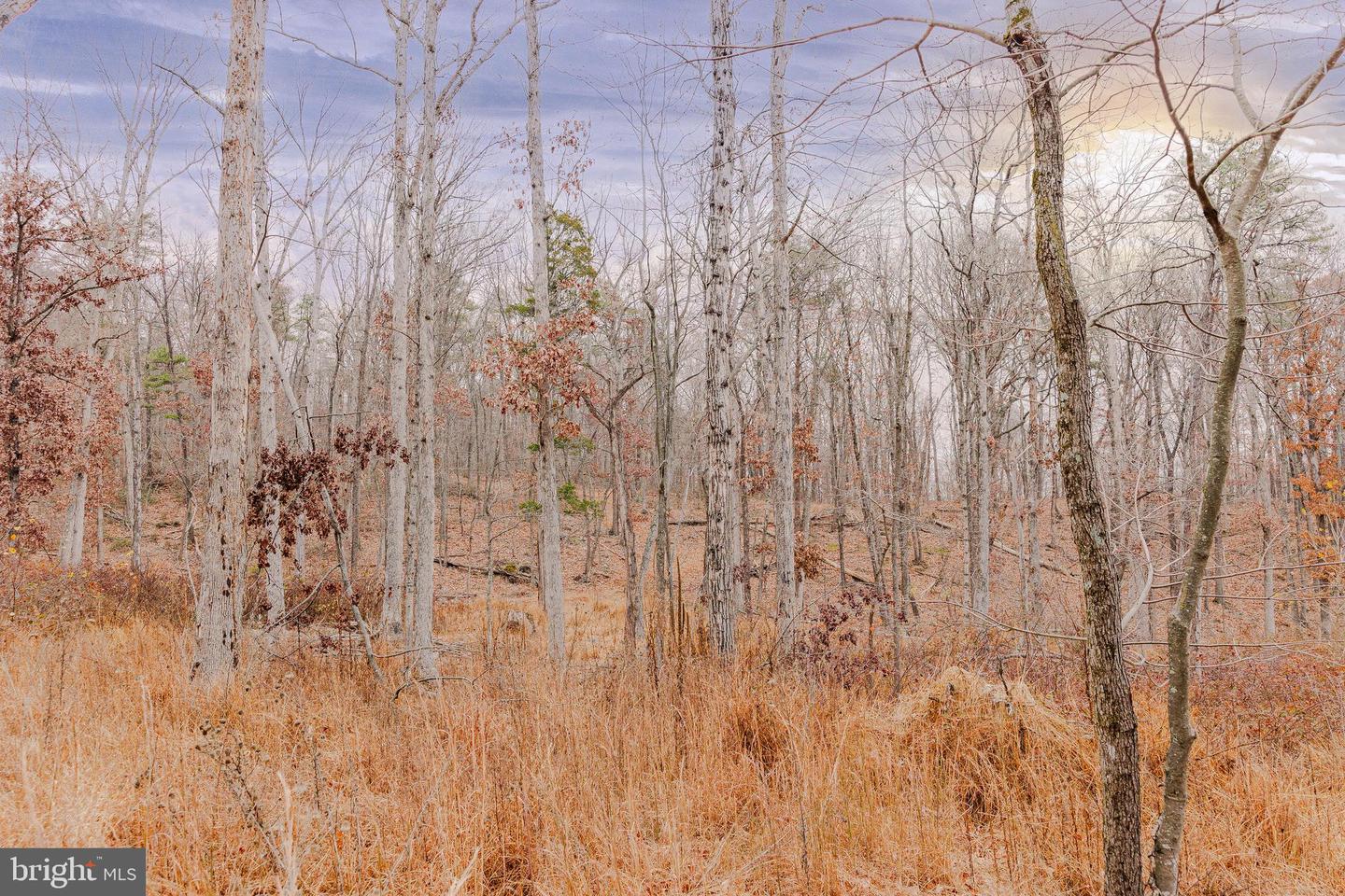 LOT 2 GALLOWAY SPRING LN, STANLEY, Virginia 22851, ,Land,For sale,LOT 2 GALLOWAY SPRING LN,VAPA2005608 MLS # VAPA2005608 LOT 2 GALLOWAY SPRING LN, STANLEY, Virginia 22851, ,Land,For sale,LOT 2 GALLOWAY SPRING LN,VAPA2005608 MLS # VAPA2005608