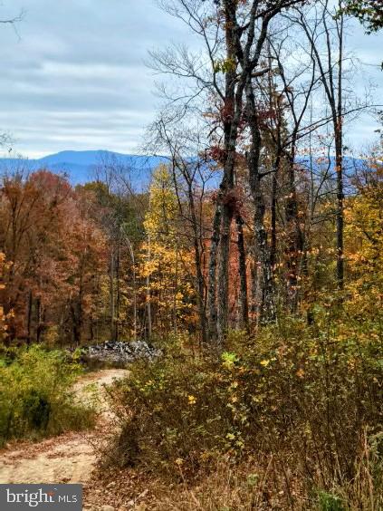 LOT 2 GALLOWAY SPRING LN, STANLEY, Virginia 22851, ,Land,For sale,LOT 2 GALLOWAY SPRING LN,VAPA2005608 MLS # VAPA2005608 LOT 2 GALLOWAY SPRING LN, STANLEY, Virginia 22851, ,Land,For sale,LOT 2 GALLOWAY SPRING LN,VAPA2005608 MLS # VAPA2005608