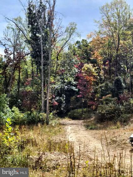 LOT 2 GALLOWAY SPRING LN, STANLEY, Virginia 22851, ,Land,For sale,LOT 2 GALLOWAY SPRING LN,VAPA2005608 MLS # VAPA2005608 LOT 2 GALLOWAY SPRING LN, STANLEY, Virginia 22851, ,Land,For sale,LOT 2 GALLOWAY SPRING LN,VAPA2005608 MLS # VAPA2005608