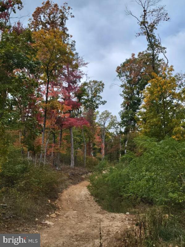 LOT 2 GALLOWAY SPRING LN, STANLEY, Virginia 22851, ,Land,For sale,LOT 2 GALLOWAY SPRING LN,VAPA2005608 MLS # VAPA2005608 LOT 2 GALLOWAY SPRING LN, STANLEY, Virginia 22851, ,Land,For sale,LOT 2 GALLOWAY SPRING LN,VAPA2005608 MLS # VAPA2005608