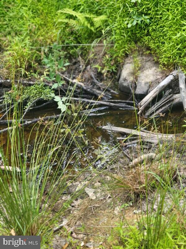 LOT 2 GALLOWAY SPRING LN, STANLEY, Virginia 22851, ,Land,For sale,LOT 2 GALLOWAY SPRING LN,VAPA2005608 MLS # VAPA2005608 LOT 2 GALLOWAY SPRING LN, STANLEY, Virginia 22851, ,Land,For sale,LOT 2 GALLOWAY SPRING LN,VAPA2005608 MLS # VAPA2005608