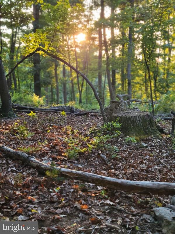 LOT 2 GALLOWAY SPRING LN, STANLEY, Virginia 22851, ,Land,For sale,LOT 2 GALLOWAY SPRING LN,VAPA2005608 MLS # VAPA2005608 LOT 2 GALLOWAY SPRING LN, STANLEY, Virginia 22851, ,Land,For sale,LOT 2 GALLOWAY SPRING LN,VAPA2005608 MLS # VAPA2005608