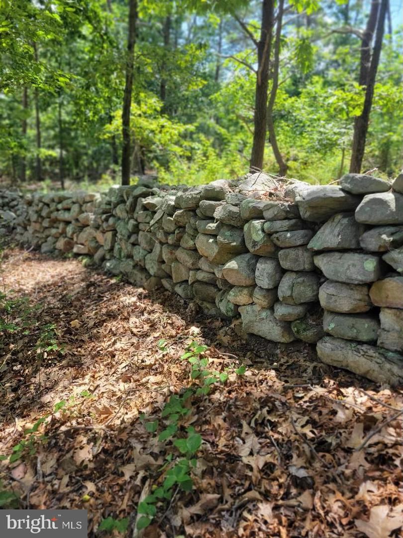 LOT 2 GALLOWAY SPRING LN, STANLEY, Virginia 22851, ,Land,For sale,LOT 2 GALLOWAY SPRING LN,VAPA2005608 MLS # VAPA2005608 LOT 2 GALLOWAY SPRING LN, STANLEY, Virginia 22851, ,Land,For sale,LOT 2 GALLOWAY SPRING LN,VAPA2005608 MLS # VAPA2005608