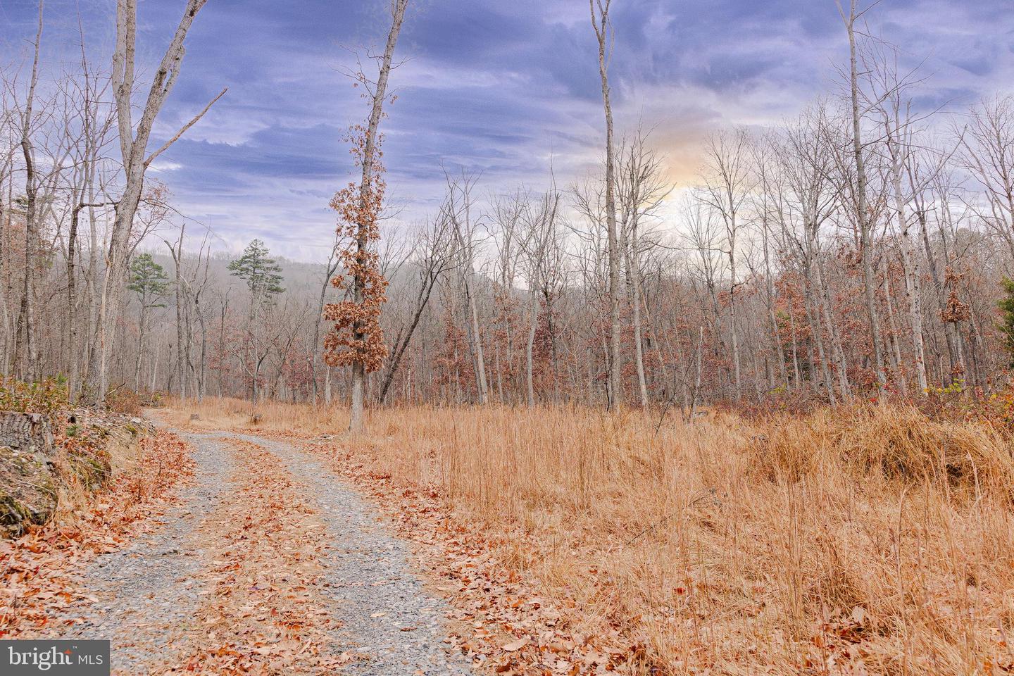 LOT 2 GALLOWAY SPRING LN, STANLEY, Virginia 22851, ,Land,For sale,LOT 2 GALLOWAY SPRING LN,VAPA2005608 MLS # VAPA2005608 LOT 2 GALLOWAY SPRING LN, STANLEY, Virginia 22851, ,Land,For sale,LOT 2 GALLOWAY SPRING LN,VAPA2005608 MLS # VAPA2005608