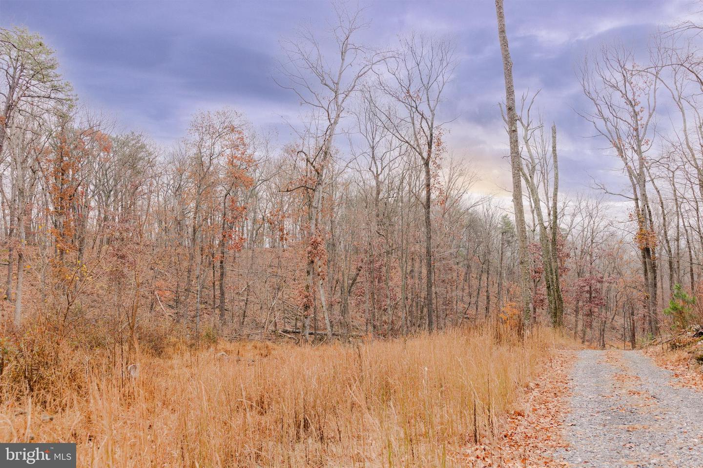 LOT 2 GALLOWAY SPRING LN, STANLEY, Virginia 22851, ,Land,For sale,LOT 2 GALLOWAY SPRING LN,VAPA2005608 MLS # VAPA2005608 LOT 2 GALLOWAY SPRING LN, STANLEY, Virginia 22851, ,Land,For sale,LOT 2 GALLOWAY SPRING LN,VAPA2005608 MLS # VAPA2005608