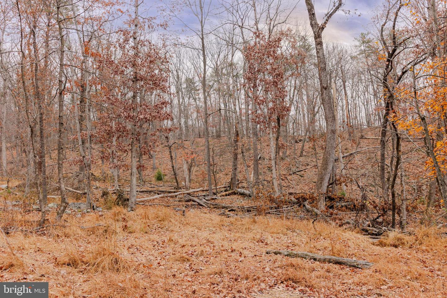 LOT 2 GALLOWAY SPRING LN, STANLEY, Virginia 22851, ,Land,For sale,LOT 2 GALLOWAY SPRING LN,VAPA2005608 MLS # VAPA2005608 LOT 2 GALLOWAY SPRING LN, STANLEY, Virginia 22851, ,Land,For sale,LOT 2 GALLOWAY SPRING LN,VAPA2005608 MLS # VAPA2005608