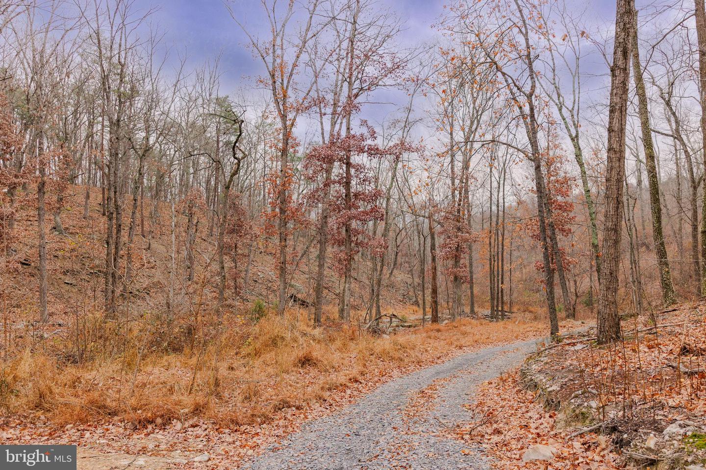 LOT 2 GALLOWAY SPRING LN, STANLEY, Virginia 22851, ,Land,For sale,LOT 2 GALLOWAY SPRING LN,VAPA2005608 MLS # VAPA2005608 LOT 2 GALLOWAY SPRING LN, STANLEY, Virginia 22851, ,Land,For sale,LOT 2 GALLOWAY SPRING LN,VAPA2005608 MLS # VAPA2005608