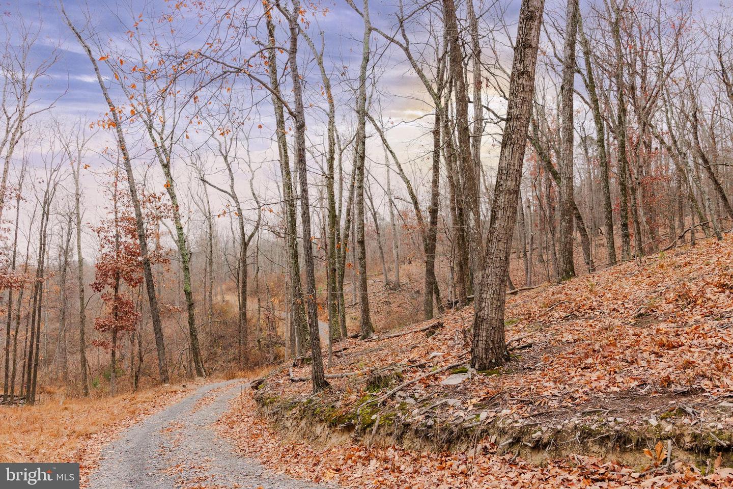 LOT 2 GALLOWAY SPRING LN, STANLEY, Virginia 22851, ,Land,For sale,LOT 2 GALLOWAY SPRING LN,VAPA2005608 MLS # VAPA2005608 LOT 2 GALLOWAY SPRING LN, STANLEY, Virginia 22851, ,Land,For sale,LOT 2 GALLOWAY SPRING LN,VAPA2005608 MLS # VAPA2005608