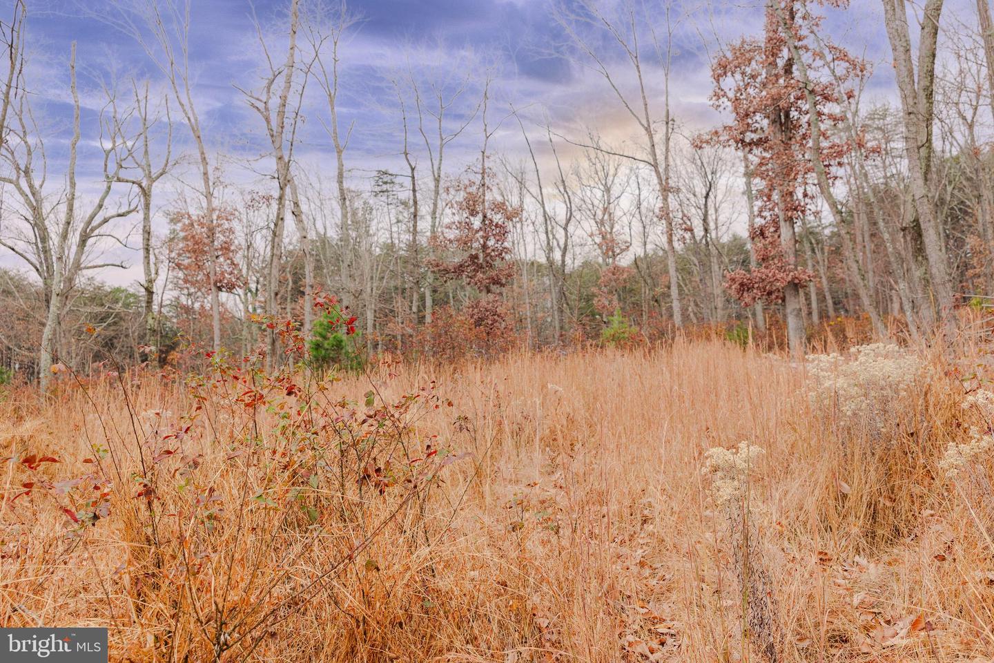 LOT 2 GALLOWAY SPRING LN, STANLEY, Virginia 22851, ,Land,For sale,LOT 2 GALLOWAY SPRING LN,VAPA2005608 MLS # VAPA2005608 LOT 2 GALLOWAY SPRING LN, STANLEY, Virginia 22851, ,Land,For sale,LOT 2 GALLOWAY SPRING LN,VAPA2005608 MLS # VAPA2005608