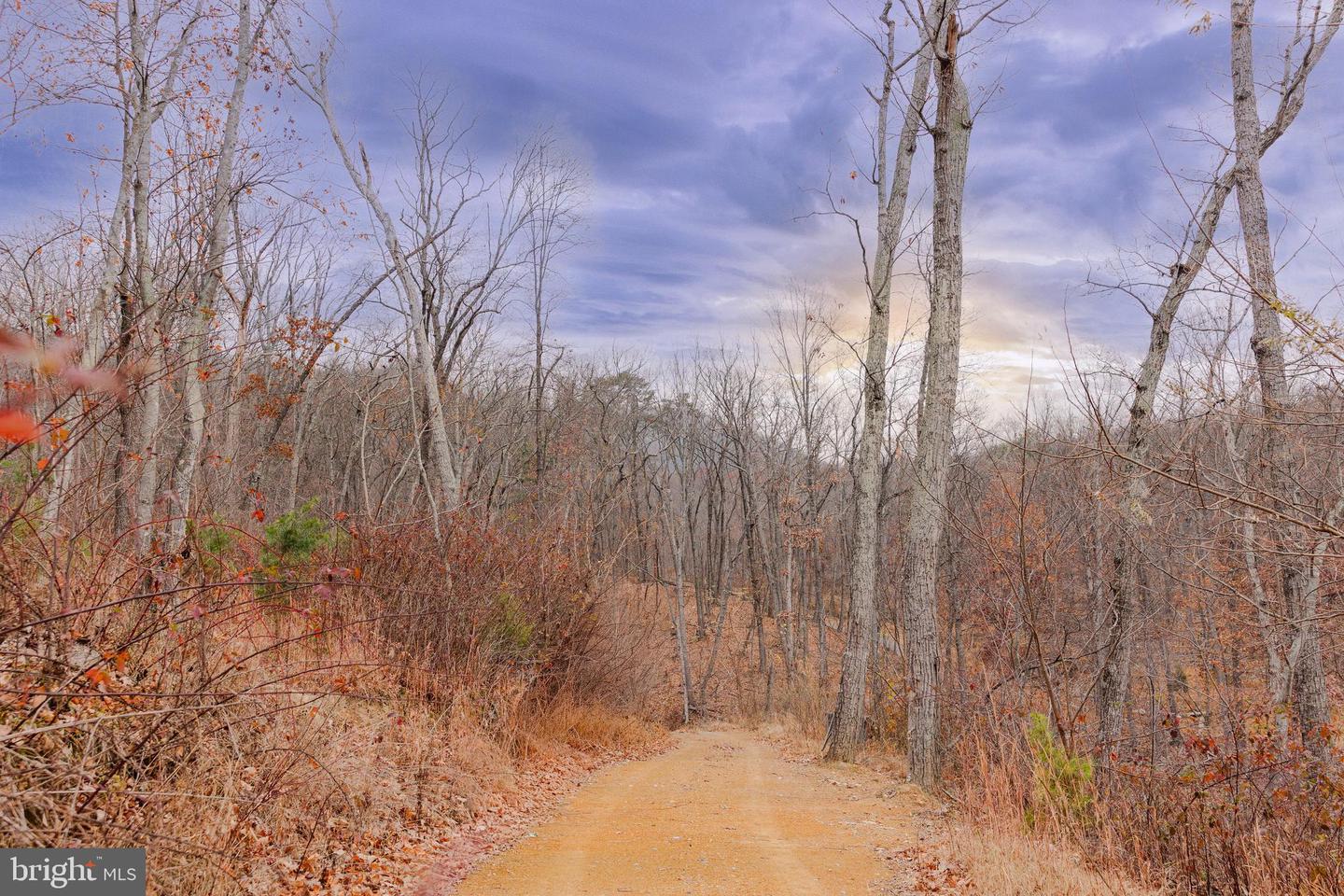 LOT 2 GALLOWAY SPRING LN, STANLEY, Virginia 22851, ,Land,For sale,LOT 2 GALLOWAY SPRING LN,VAPA2005608 MLS # VAPA2005608 LOT 2 GALLOWAY SPRING LN, STANLEY, Virginia 22851, ,Land,For sale,LOT 2 GALLOWAY SPRING LN,VAPA2005608 MLS # VAPA2005608