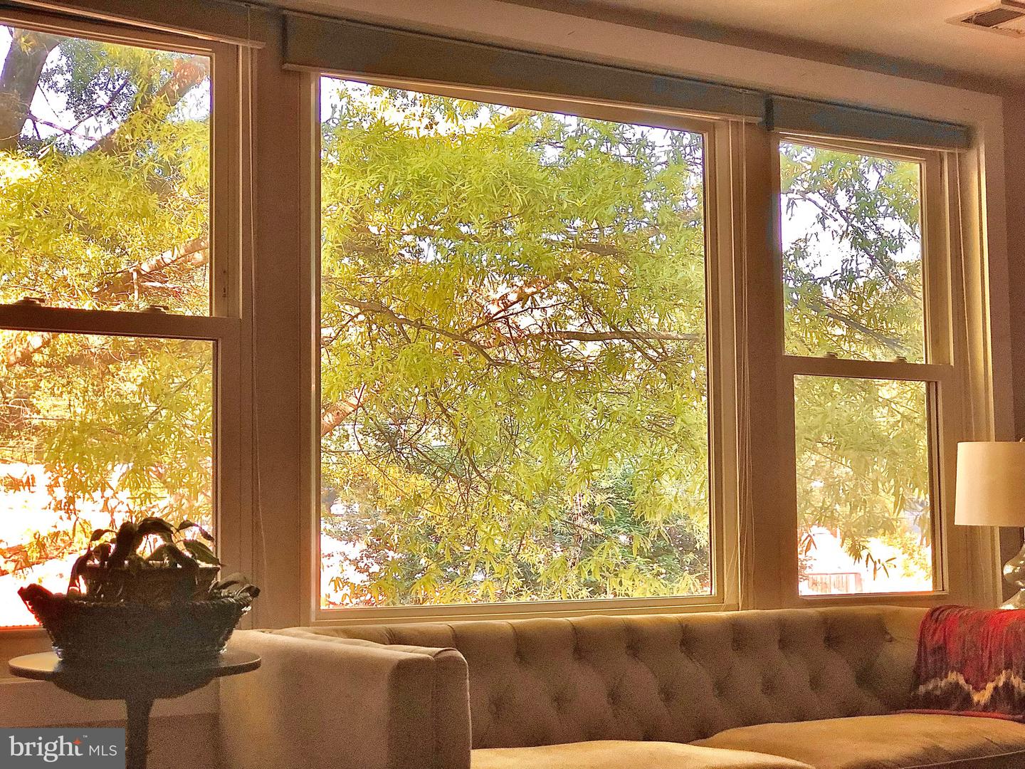 4840 MACARTHUR BLVD NW #501, WASHINGTON, District Of Columbia 20007, 1 Bedroom Bedrooms, 3 Rooms Rooms,1 BathroomBathrooms,Residential,For sale,4840 MACARTHUR BLVD NW #501,DCDC2221866 MLS # DCDC2221866 4840 MACARTHUR BLVD NW #501, WASHINGTON, District Of Columbia 20007, 1 Bedroom Bedrooms, 3 Rooms Rooms,1 BathroomBathrooms,Residential,For sale,4840 MACARTHUR BLVD NW #501,DCDC2221866 MLS # DCDC2221866