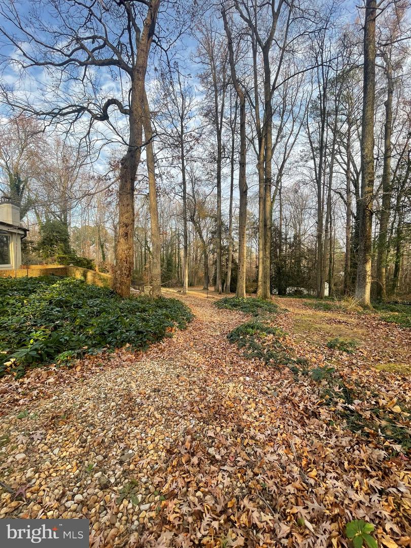 4004 LONGWOOD DR, FREDERICKSBURG, Virginia 22408, 3 Bedrooms Bedrooms, ,2 BathroomsBathrooms,Residential,For sale,4004 LONGWOOD DR,VASP2037746 MLS # VASP2037746 4004 LONGWOOD DR, FREDERICKSBURG, Virginia 22408, 3 Bedrooms Bedrooms, ,2 BathroomsBathrooms,Residential,For sale,4004 LONGWOOD DR,VASP2037746 MLS # VASP2037746