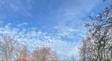 4004 LONGWOOD DR, FREDERICKSBURG, Virginia 22408, 3 Bedrooms Bedrooms, ,2 BathroomsBathrooms,Residential,For sale,4004 LONGWOOD DR,VASP2037746 MLS # VASP2037746